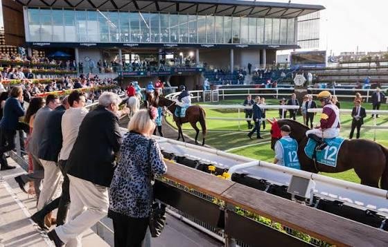 Race Day Transfer 6
